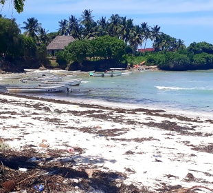 Kizimkazi Strand