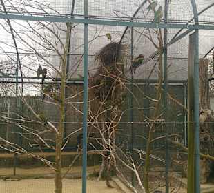 Zoo Ohrada Hluboká nad Vltavou