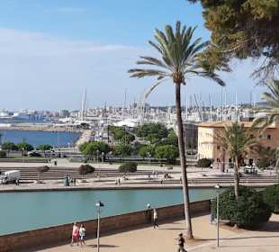 Per pedes zur Kathedrale