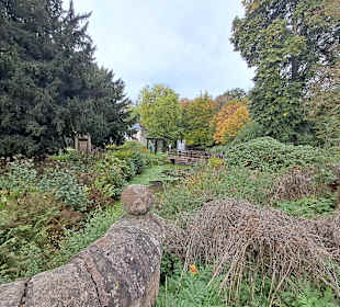 Burg Kerpen in Illingen