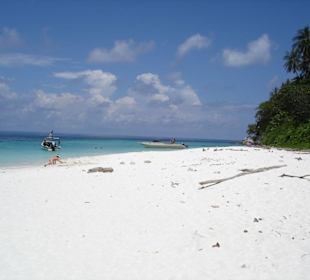Auf Coral Island