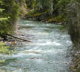 Johnston Canyon