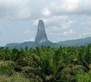 Pico Cão Grande