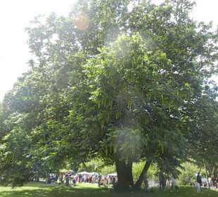 Parkanlage Planten un Blomen