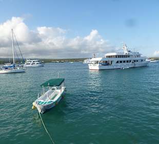 Zurück in den Hafen