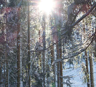 Wandern Nova Ponente / Deutschnofen
