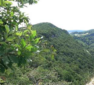 Tour entlang der Traifelbergfelsen
