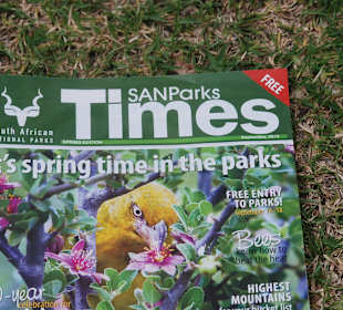 Informationsbroschüre: "Spring"