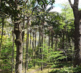 Im Park