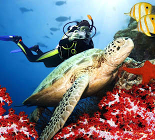 Side Ausflug: Tauchen