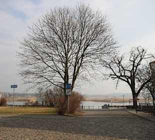 Blick zur Oder