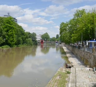 Blick auf den Neckar Brücke (9)