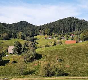 Wandern Wolfach