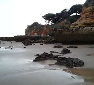 Uferbereich westlich Olhos de Agua