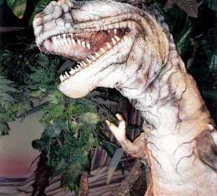 Ansichten aus dem Europapark in Rust