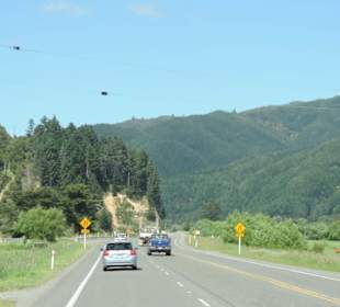 Mit dem Hop on Hop off Bus in der Region unterwegs