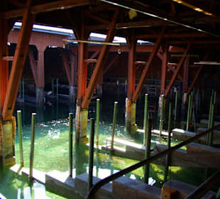 Das Bootshaus
