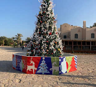 Stadtrundgang El Gouna