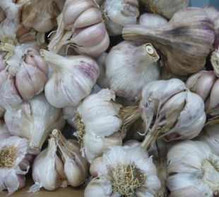 Im Mercado Central von Las Palmas
