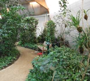 Schmetterlingshaus Jonsdorf