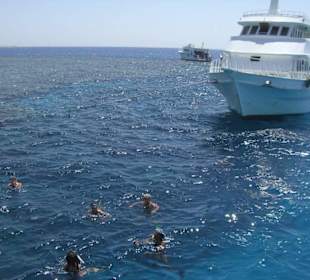 Ausflug Giftun Insel