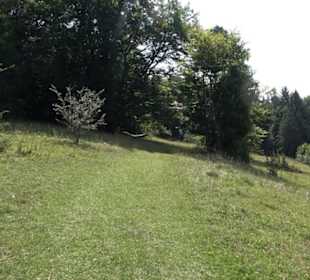 Premiumwanderweg "hochgesprudelt"