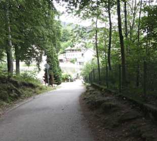 Natur-Hochseilgarten Triberg