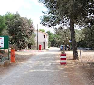 Eingang zum Fkk-Bereich 1/3 des Platzes ist Textil