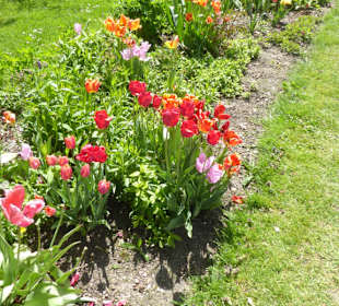 Hofgarten am Dachauer Schloss