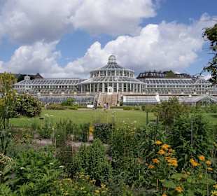Botanischer Garten - Das große Palmenhaus