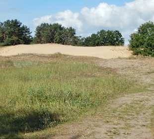 Binnendünen Altwarp