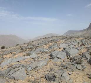 Safari nach Jebel Harim 