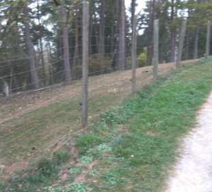 Erlebnisbauernhof und Wildgehege