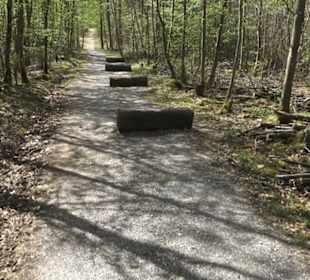 Waldsportpfad im Wasenwald