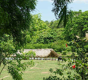 Nature Complete Tour - unser Floß