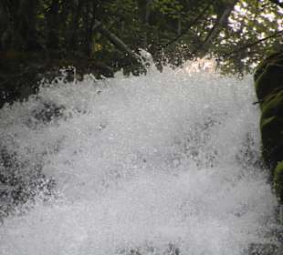 ....trotzdem nicht ungefährlich!