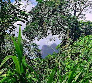 Parque Natural Obô do Príncipe