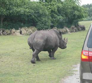 Serengeti Park Hodenhagen