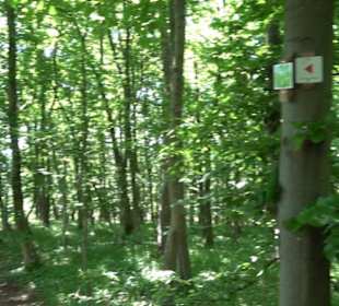 Premiumwanderweg "hochgelegen"