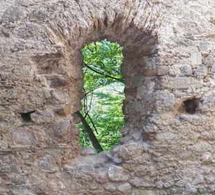 Naturpark Sparbach Hinterbrühl