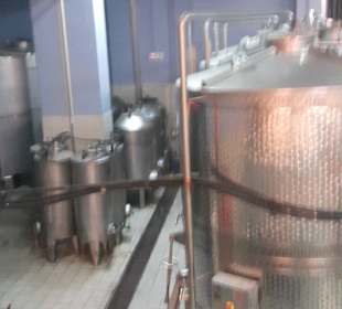 Führung Weinkellerei Boutari