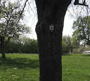 Freizeitanlage Schwanholz