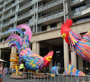 Neujahrsdeko am Circular Quay
