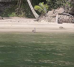 Punta Cana auf Deutsch - einfach schöne Ausflüge