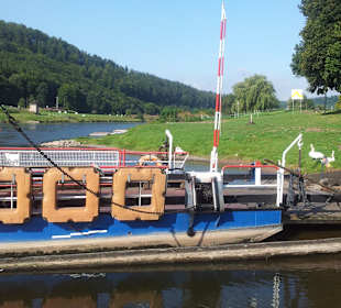 Fähre Wahmbeck
