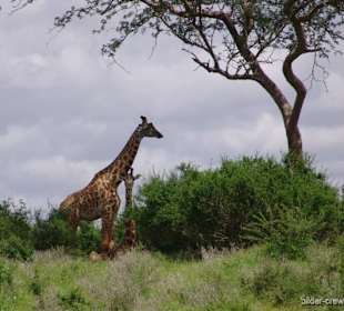 auslfug in den Nationalpark