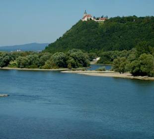 Die Donau und der Bogenberg