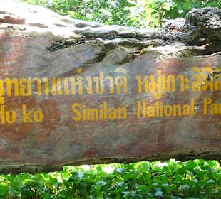 Ausflug zum Tauchen, ein Muss 