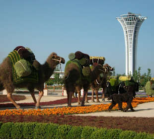 EXPO 2016 Antalya