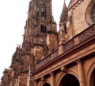 Münster